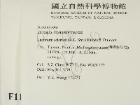 登錄號:F0011299藏品圖，第2張