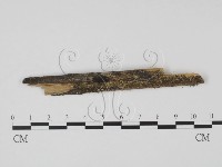 登錄號:F0011299藏品圖，第1張