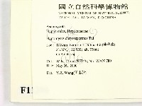 登錄號:F0011300藏品圖，第2張