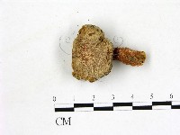 登錄號:F0011300藏品圖，第1張