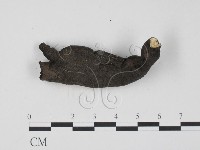 登錄號:F0011302藏品圖，第1張