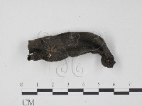 登錄號:F0011302藏品圖，第3張