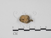 登錄號:F0011305藏品圖，第1張