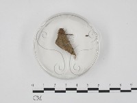 登錄號:F0011307藏品圖，第1張
