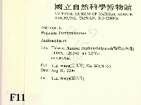 登錄號:F0011308藏品圖，第2張