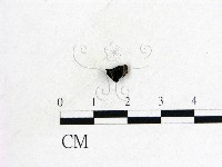 登錄號:F0011308藏品圖，第1張