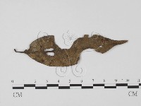 登錄號:F0011309藏品圖，第1張
