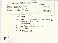 登錄號:F0011310藏品圖，第2張