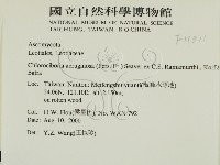 登錄號:F0011311藏品圖，第2張