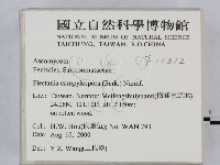 登錄號:F0011312藏品圖，第2張