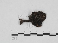 登錄號:F0011312藏品圖，第1張