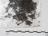 登錄號:F0011314藏品圖，第1張