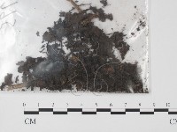 登錄號:F0011314藏品圖，第3張