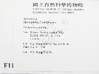 登錄號:F0011315藏品圖，第2張