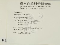 登錄號:F0011316藏品圖，第2張