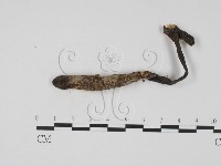 登錄號:F0011316藏品圖，第1張