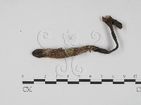 登錄號:F0011316藏品圖，第3張