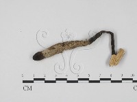 登錄號:F0011316藏品圖，第4張