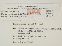 登錄號:F0011317藏品圖，第2張