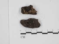 登錄號:F0011317藏品圖，第1張