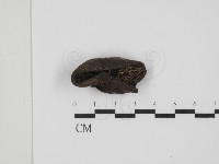 登錄號:F0011317藏品圖，第3張