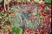 登錄號:F0011318藏品圖，第4張