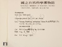 登錄號:F0011319藏品圖，第2張