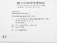 登錄號:F0011320藏品圖，第2張