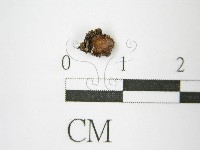 登錄號:F0011320藏品圖，第3張