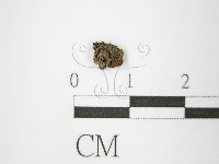 登錄號:F0011320藏品圖，第4張