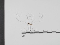 登錄號:F0011321藏品圖，第1張