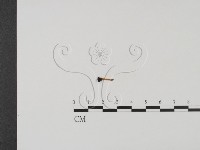 登錄號:F0011321藏品圖，第3張