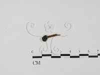 登錄號:F0011322藏品圖，第1張