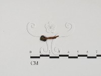 登錄號:F0011322藏品圖，第3張