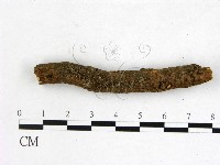 登錄號:F0011323藏品圖，第1張