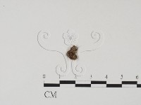 登錄號:F0011324藏品圖，第1張