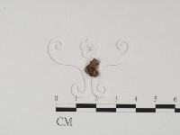 登錄號:F0011324藏品圖，第3張