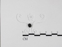 登錄號:F0011325藏品圖，第1張