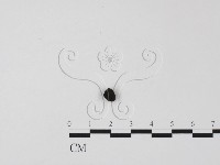 登錄號:F0011325藏品圖，第3張