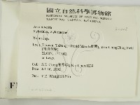 炭角菌屬藏品圖，第2張