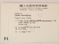 登錄號:F0011333藏品圖，第2張