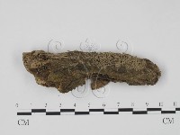 登錄號:F0011337藏品圖，第1張