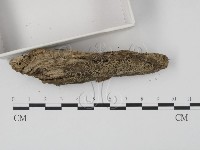 登錄號:F0011337藏品圖，第3張