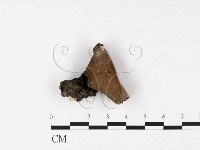 登錄號:F0011338藏品圖，第3張