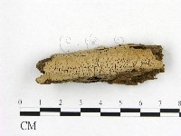登錄號:F0011339藏品圖，第1張