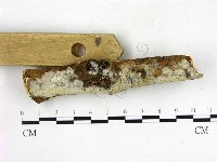 登錄號:F0011340藏品圖，第3張