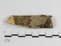 登錄號:F0011342藏品圖，第1張