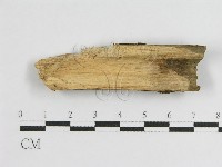 登錄號:F0011342藏品圖，第3張