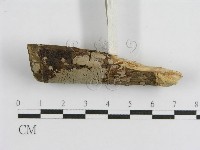 登錄號:F0011342藏品圖，第4張