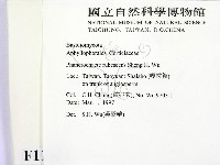 登錄號:F0011344藏品圖，第2張